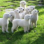Bed & Breakfast 'tra I Due Parchi